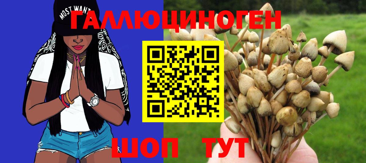 Хабаровск  купить наркотики цена  Вход с VPN  Псилоцибиновые грибы мухоморы 