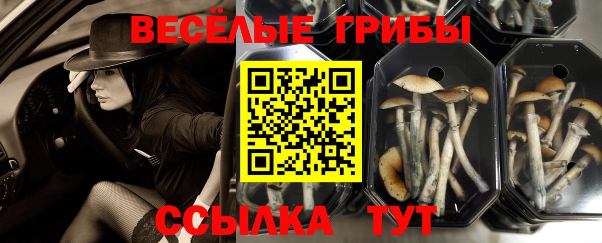 Псилоцибиновые грибы мухоморы Хабаровск